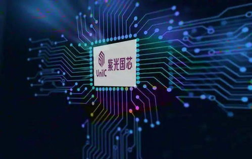 河北资本活力迸发 年内9只个股翻番，集成电路芯片产业领跑